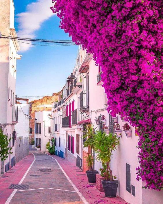 Casa De Frida Διαμέρισμα Μαρμπέλλα Εξωτερικό φωτογραφία